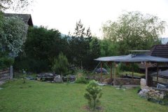 IMG_5356b
