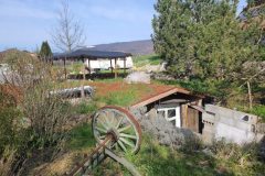 garten_3